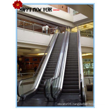 600mm, 800mm, 1000mm Step Width, 30&Degand 35&Deg Vvvf Indoor/Outdoor Escalator with Competitive Price